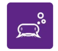 Social Catfish